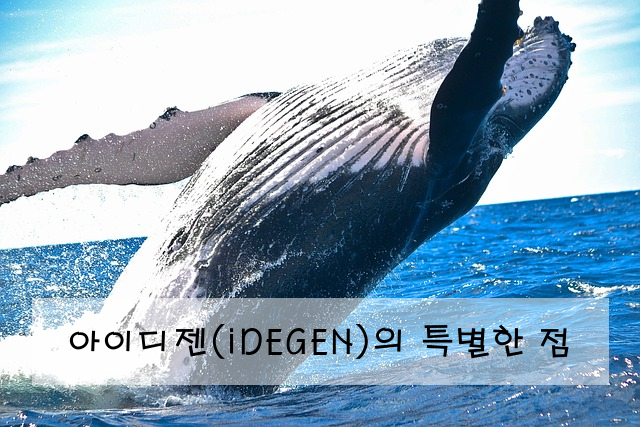 아이디젠(iDEGEN)의 특별한 점