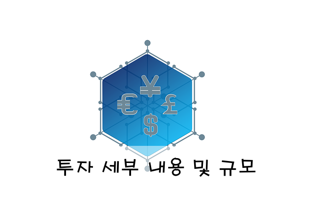 투자 세부 내용 및 규모