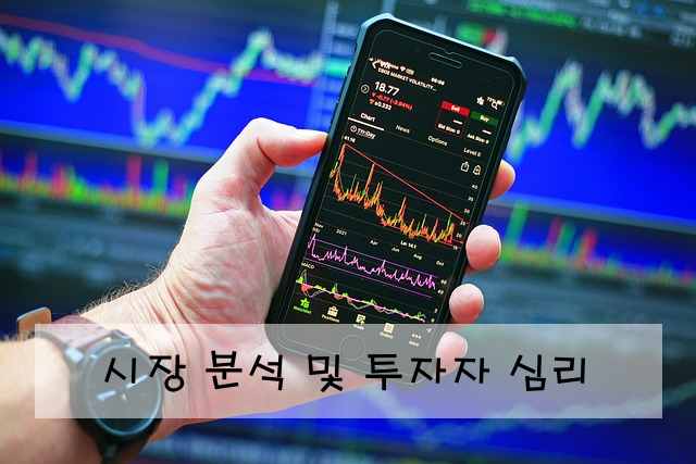 시장 분석 및 투자자 심리