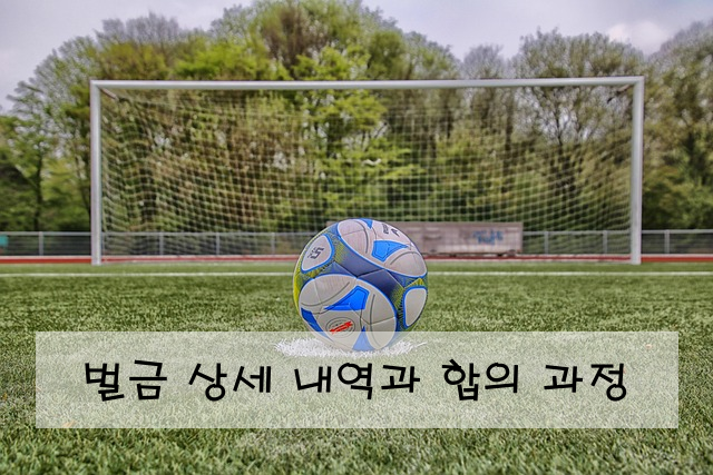 벌금 상세 내역과 합의 과정