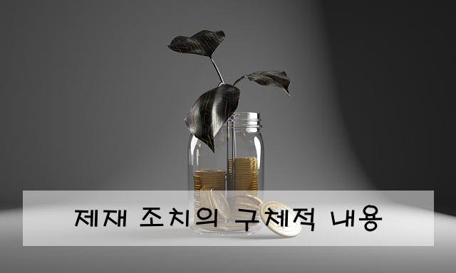 제재 조치의 구체적 내용
