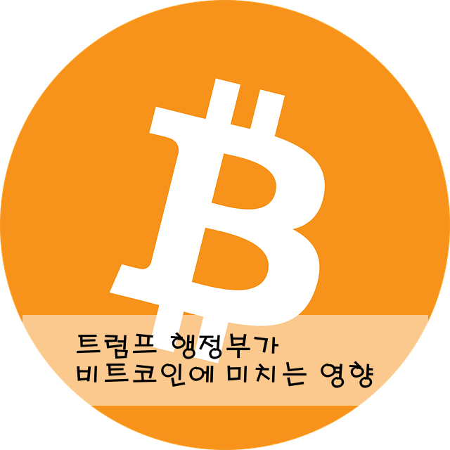트럼프 행정부가 비트코인에 미치는 영향