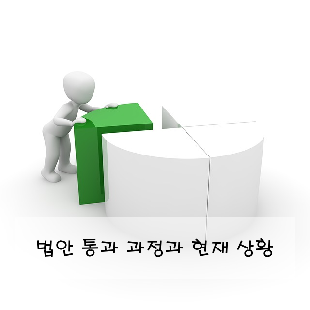 법안 통과 과정과 현재 상황