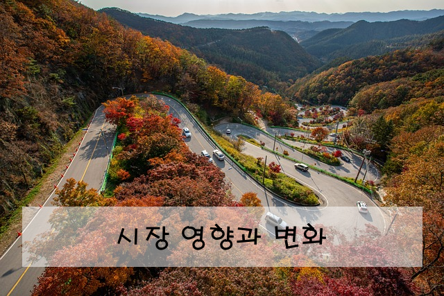 시장 영향과 변화