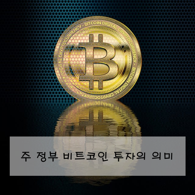 주 정부 비트코인 투자의 의미