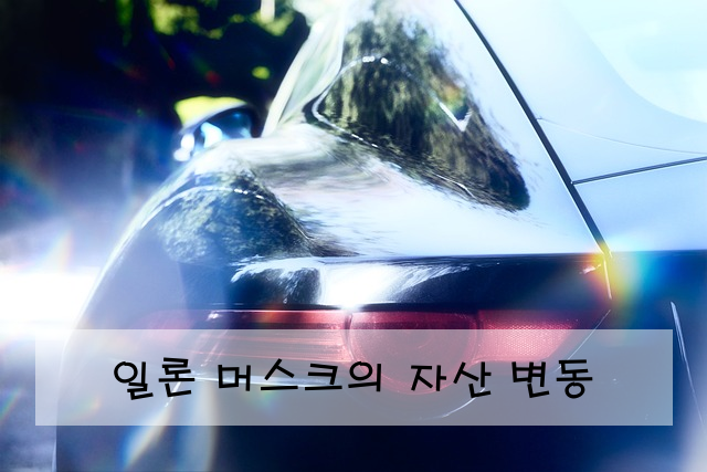 일론 머스크의 자산 변동