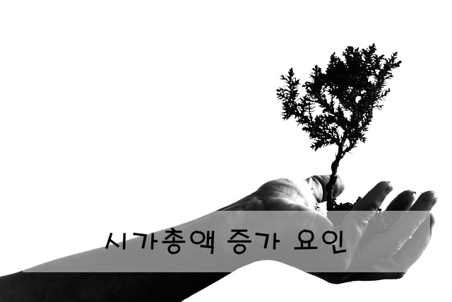 시가총액 증가 요인