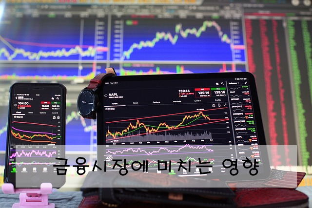 금융시장에 미치는 영향