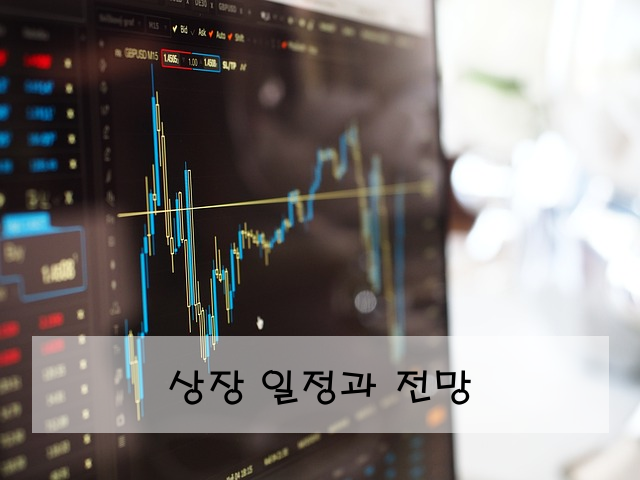 상장 일정과 전망