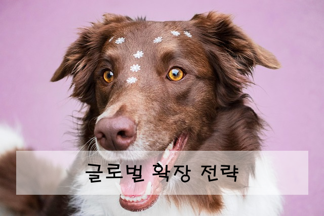 글로벌 확장 전략