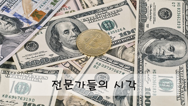 전문가들의 시각