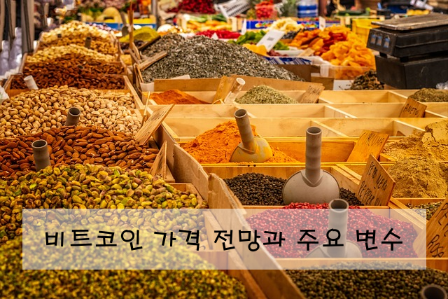 비트코인 가격 전망과 주요 변수