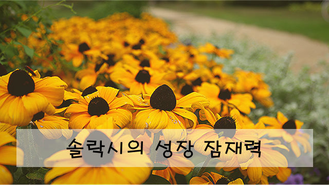 솔락시의 성장 잠재력