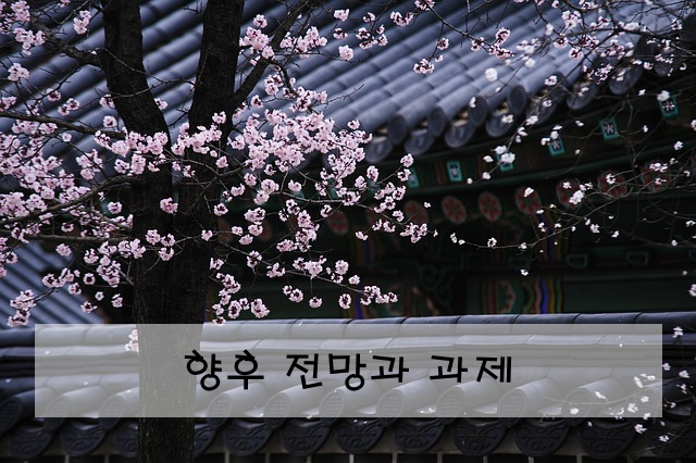 향후 전망과 과제