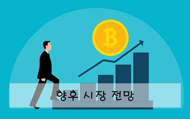 향후 시장 전망