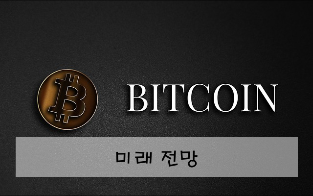 미래 전망