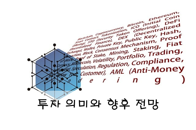 투자 의미와 향후 전망