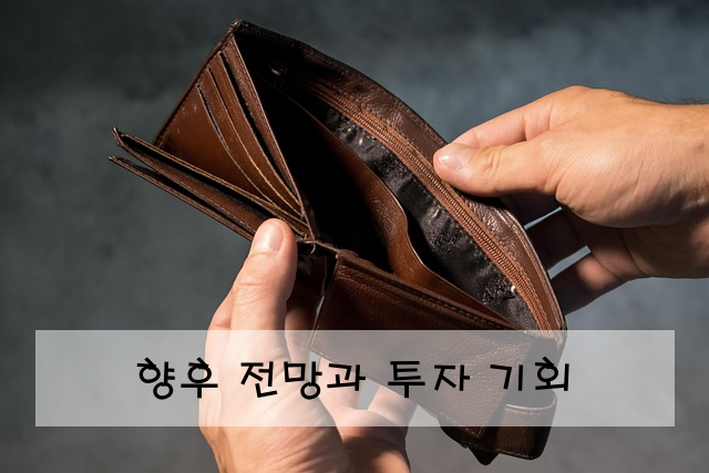 향후 전망과 투자 기회