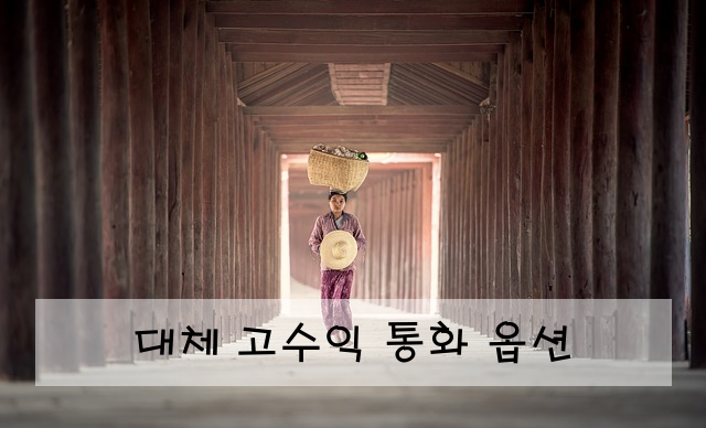 대체 고수익 통화 옵션