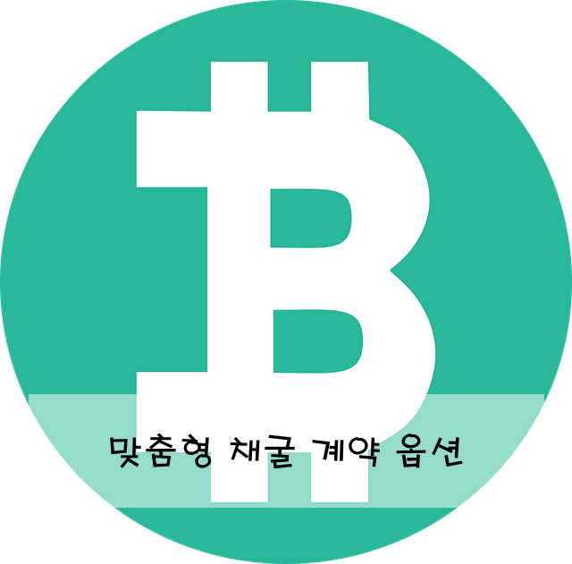맞춤형 채굴 계약 옵션