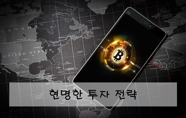 현명한 투자 전략
