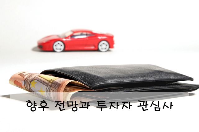 향후 전망과 투자자 관심사
