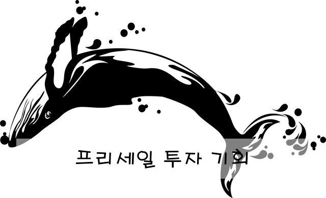 프리세일 투자 기회