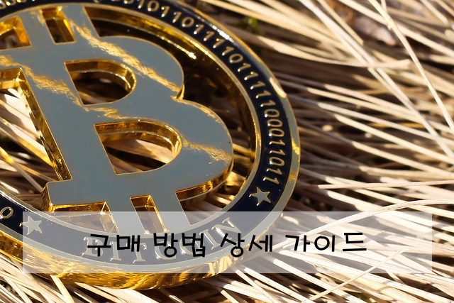 구매 방법 상세 가이드