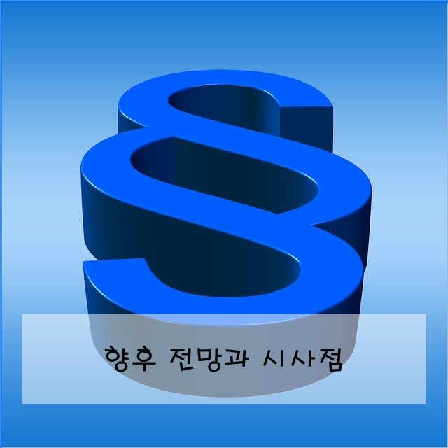 향후 전망과 시사점