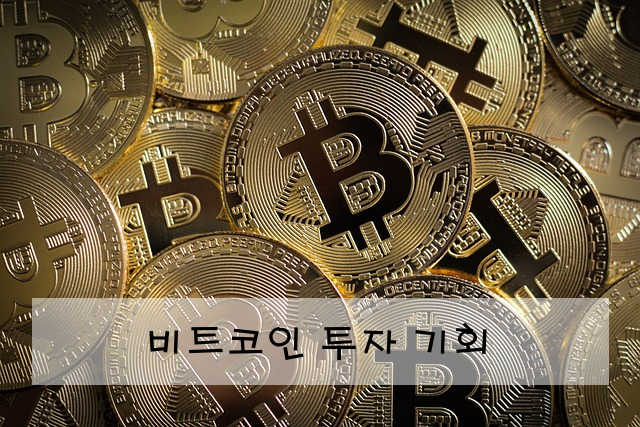 비트코인 투자 기회