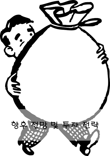 향후 전망 및 투자 전략