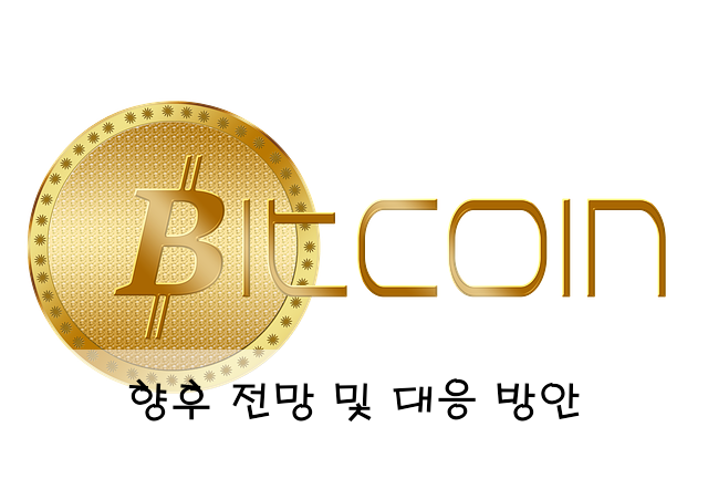 향후 전망 및 대응 방안