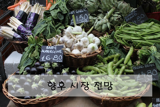 향후 시장 전망