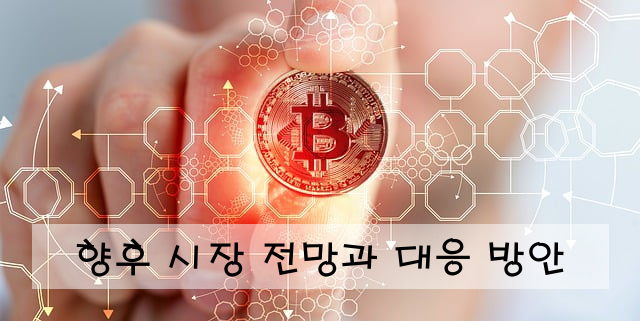 향후 시장 전망과 대응 방안