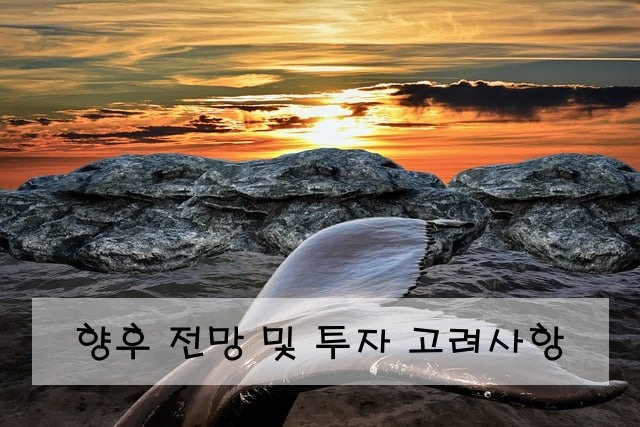 향후 전망 및 투자 고려사항