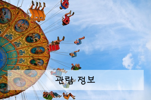 관람 정보
