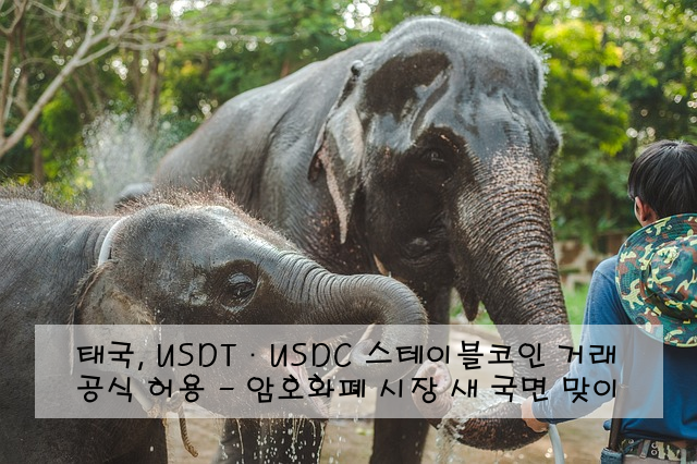 태국, USDT·USDC 스테이블코인 거래 공식 허용 - 암호화폐 시장 새 국면 맞이