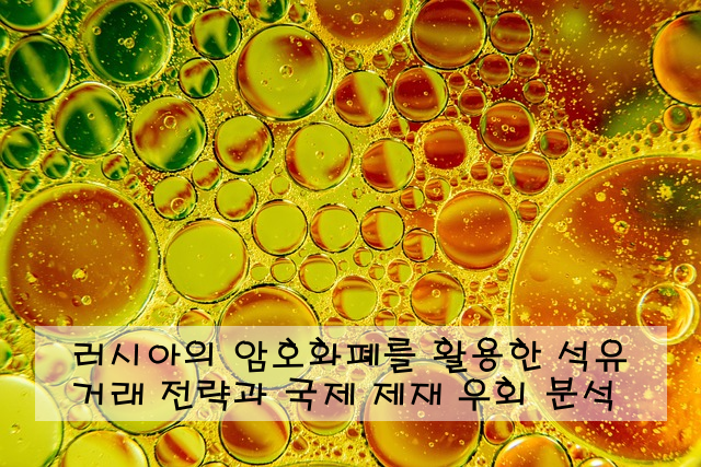 러시아의 암호화폐를 활용한 석유 거래 전략과 국제 제재 우회 분석