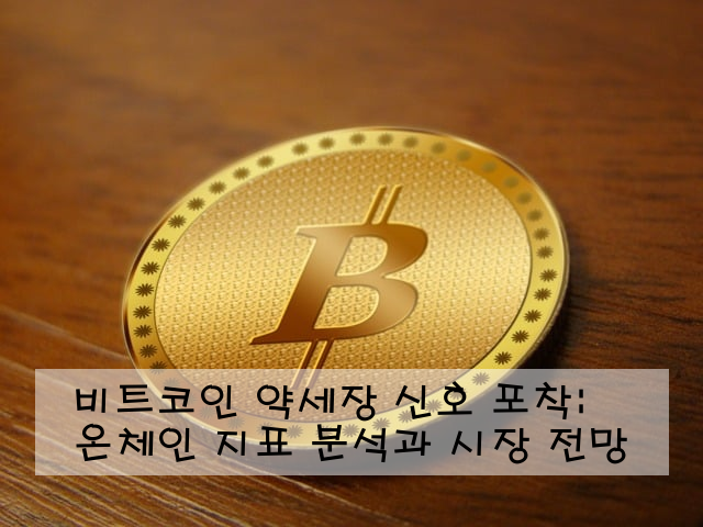 비트코인 약세장 신호 포착: 온체인 지표 분석과 시장 전망
