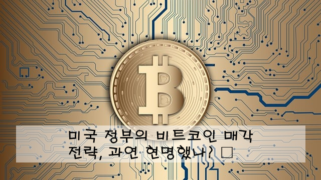 미국 정부의 비트코인 매각 전략, 과연 현명했나? 🤔