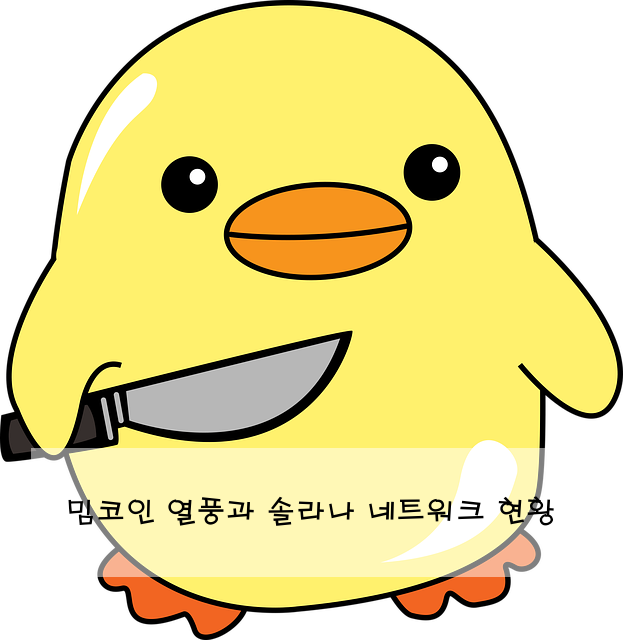 밈코인 열풍과 솔라나 네트워크 현황