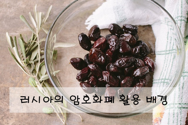 러시아의 암호화폐 활용 배경