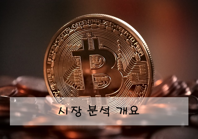시장 분석 개요