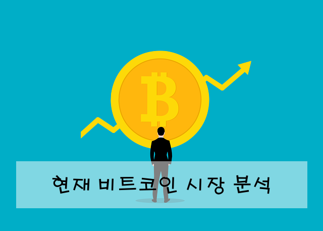 현재 비트코인 시장 분석