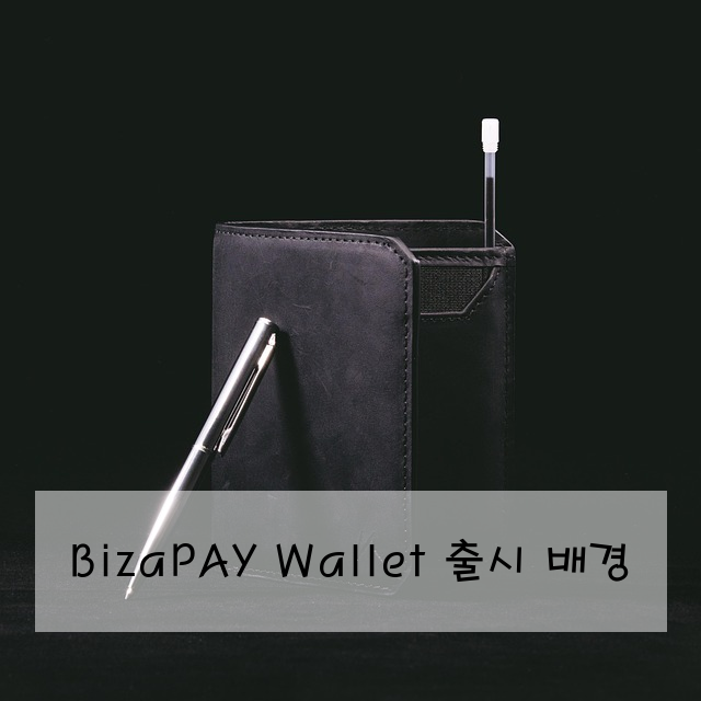 BizaPAY Wallet 출시 배경