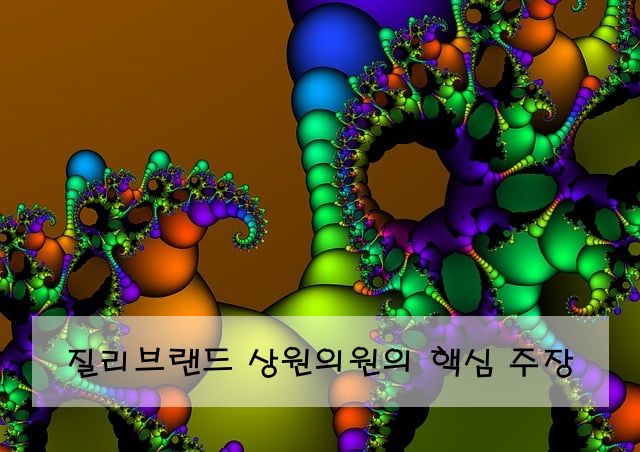 질리브랜드 상원의원의 핵심 주장