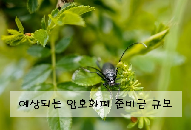 예상되는 암호화폐 준비금 규모
