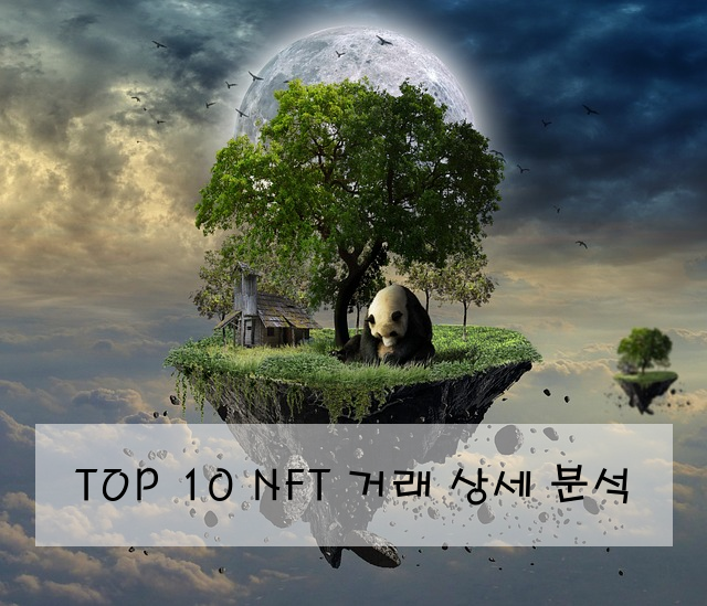 TOP 10 NFT 거래 상세 분석