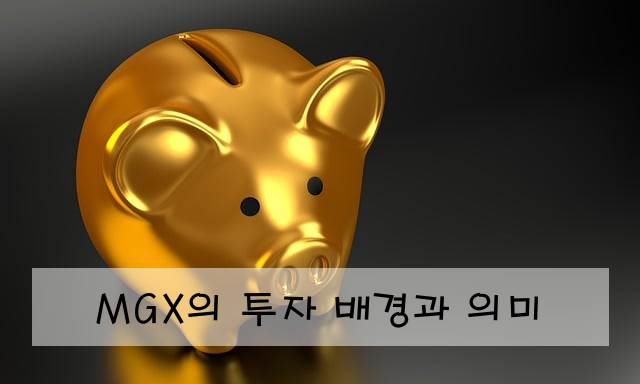 MGX의 투자 배경과 의미