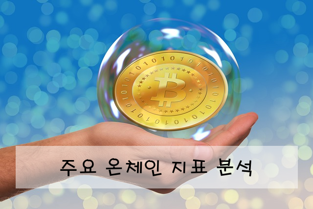 주요 온체인 지표 분석